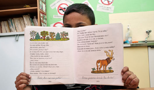 Může škola za to, když cizinci výkladu nerozumí?