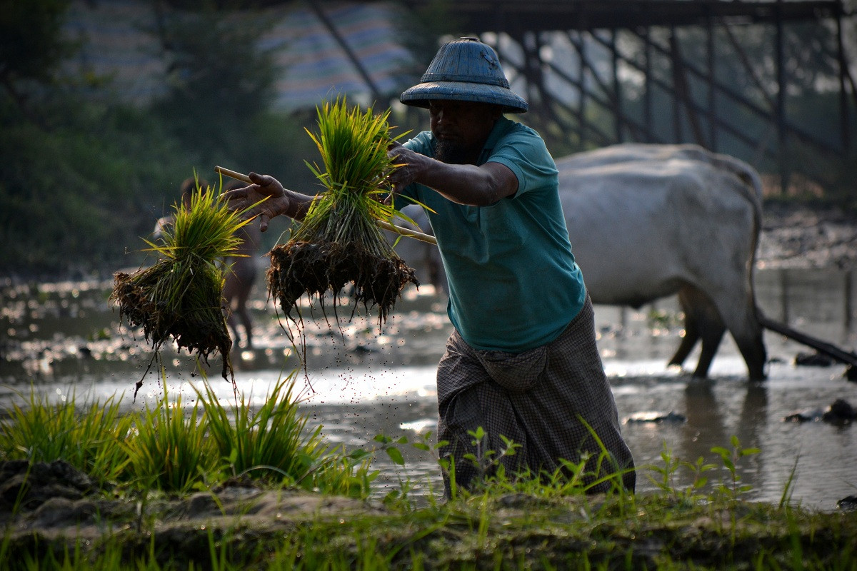 Zemědělci z Barmy získali svou půdu zpět