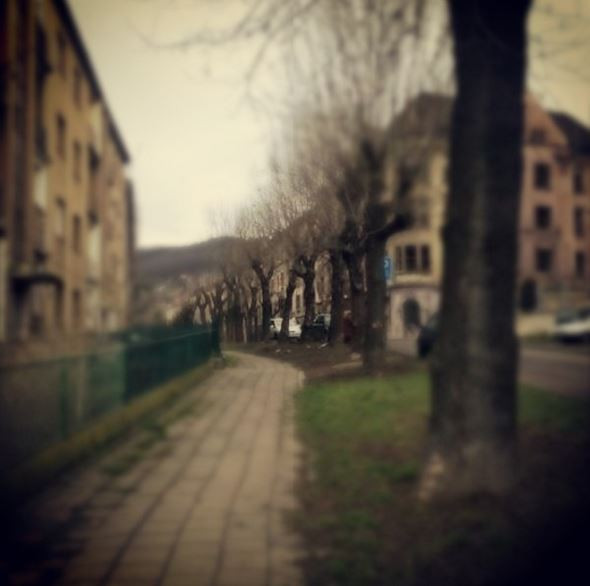 Zdraví je krásný kšeft