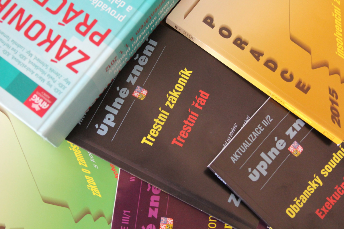 Resocializace – dobrovolnost – povinnost – důležitost