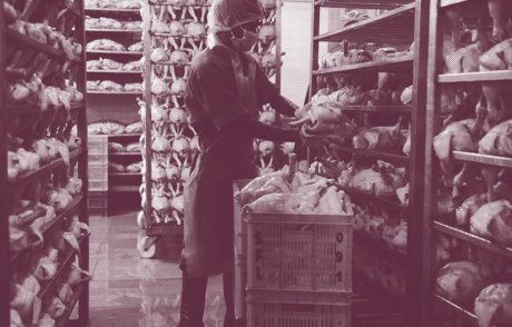 Úvodní fotografie k dokumentu 10 miliard - Co máte na talíři?.