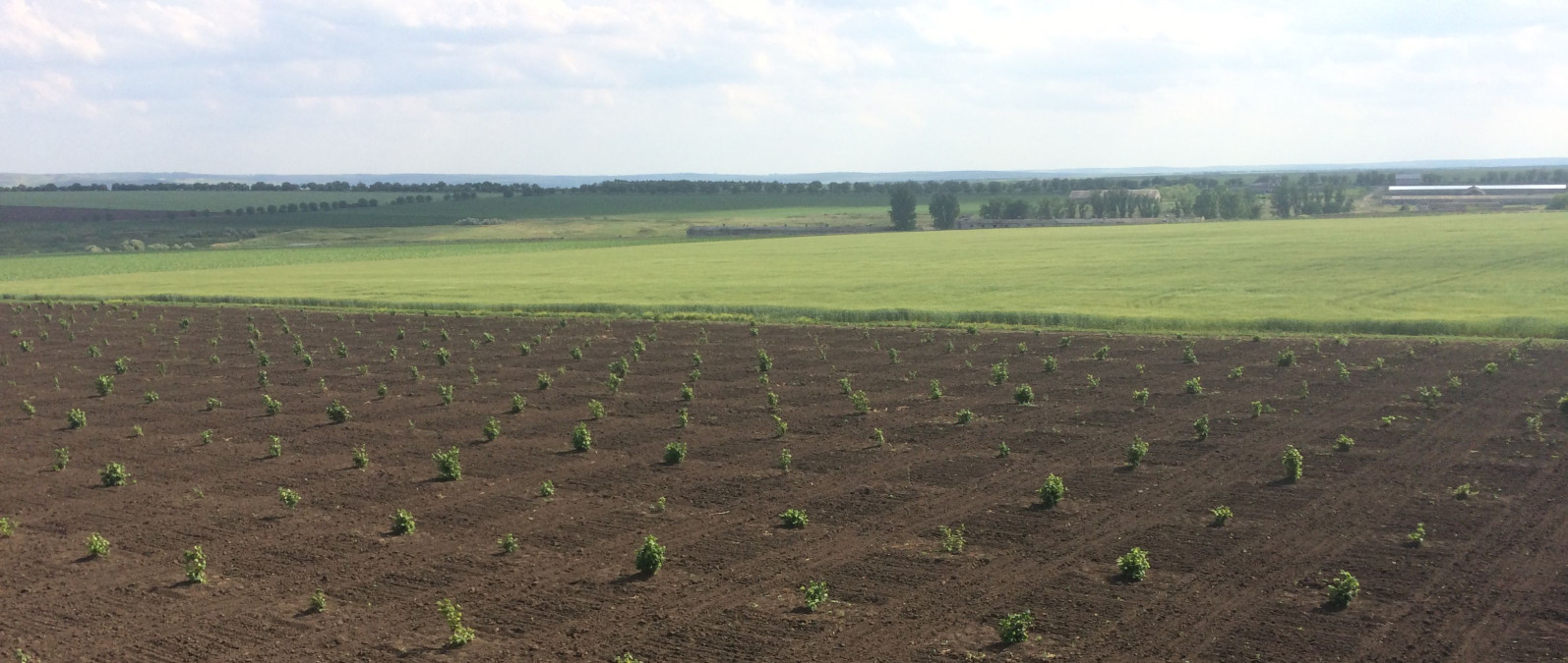 Jak se mladá moldavská podnikatelka vrhla z bankovnictví na podnikání s bio produkty