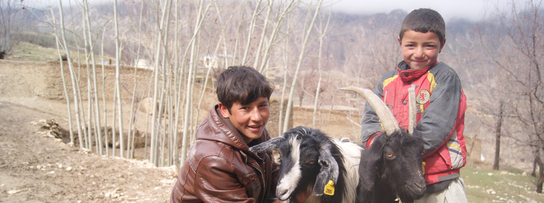 Pražané nakoupili k Vánocům 215 oslů. Za dárky pro chudé utratili 33 milionů korun