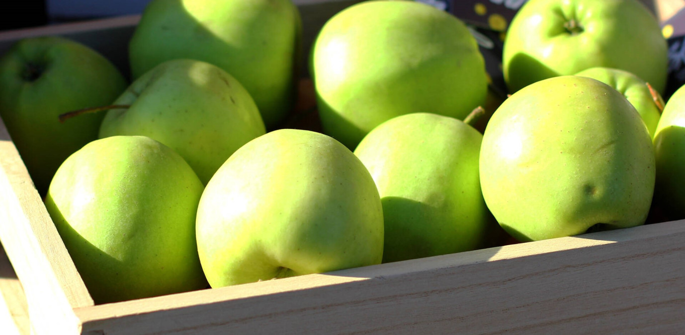 Člověk v tísni rozjel distribuci potravinových balíčků. Potřebných jsou podle odhadů tisíce rodin