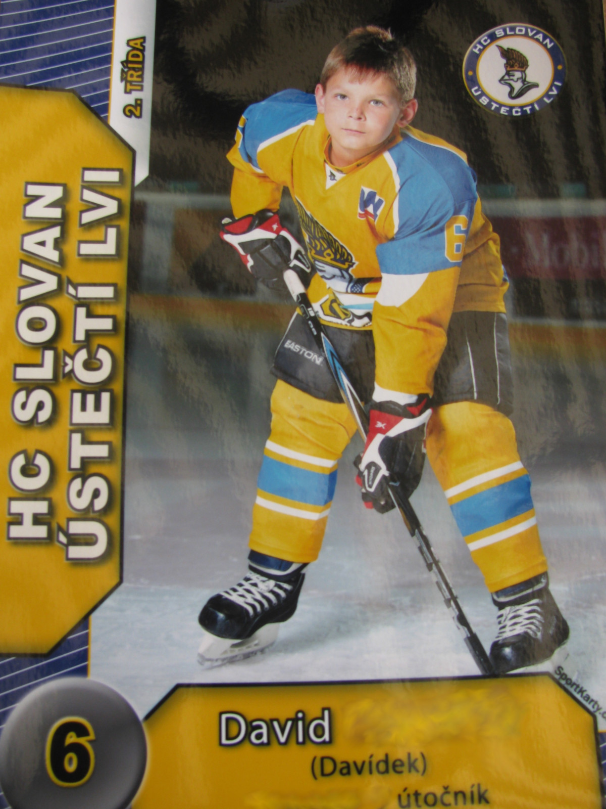 Dar pro malého hokejistu