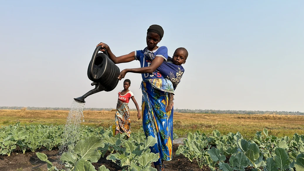 Získali jsme akreditaci největšího světového klimatického fondu Green Climate Fund (GCF)