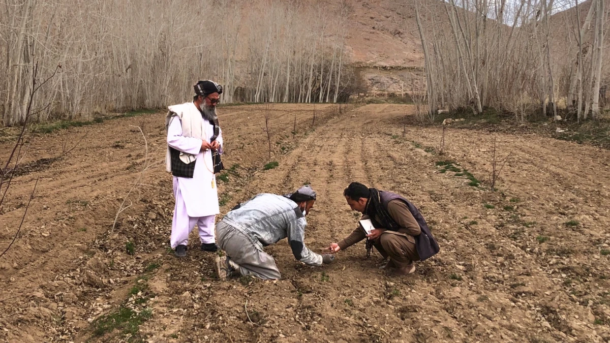 Na afghánském venkově jsme zasetím semen vrátili lidem naději a důstojnost