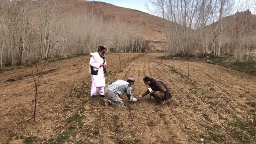 Na afghánském venkově jsme zasetím semen vrátili lidem naději a důstojnost