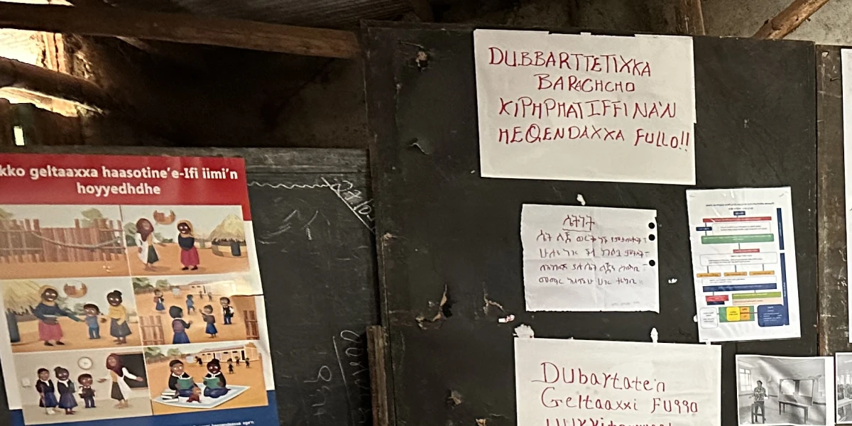 Vzdělávání v humanitárních krizích