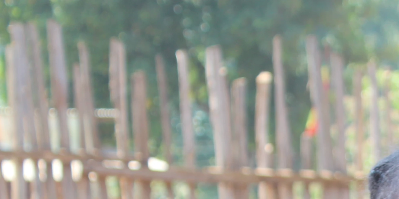 Student of Wogida primary school in Gadio zone, SNNPR, Ethiopia.