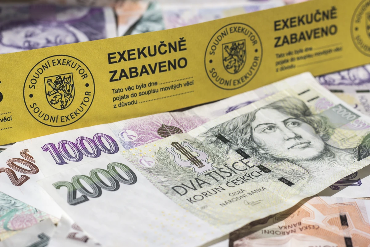 Z vymáhání výživného se stává byznys. Je to šmejdské, říká pro server Investigace.cz Prošková, která pomáhá problém řešit
