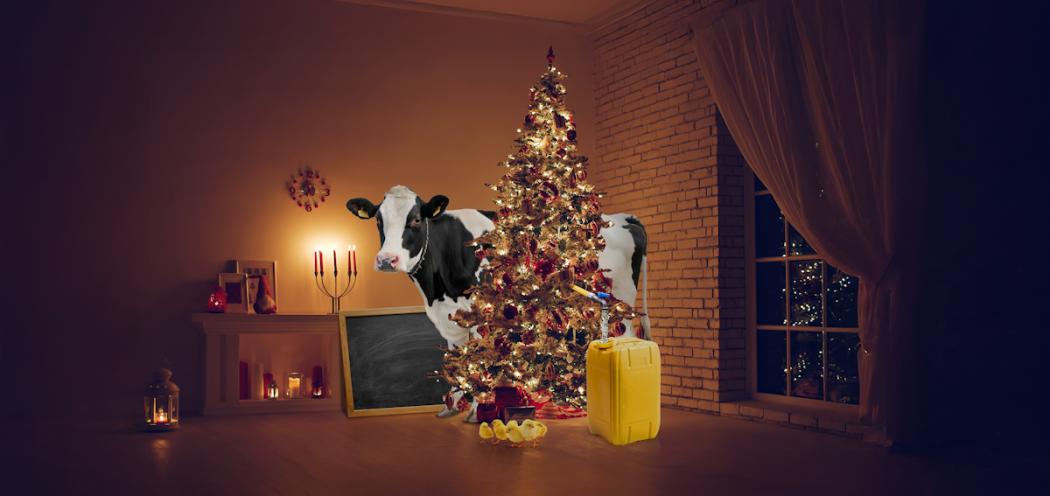 KUPTE SI SKUTEČN&Yacute; D&Aacute;REK