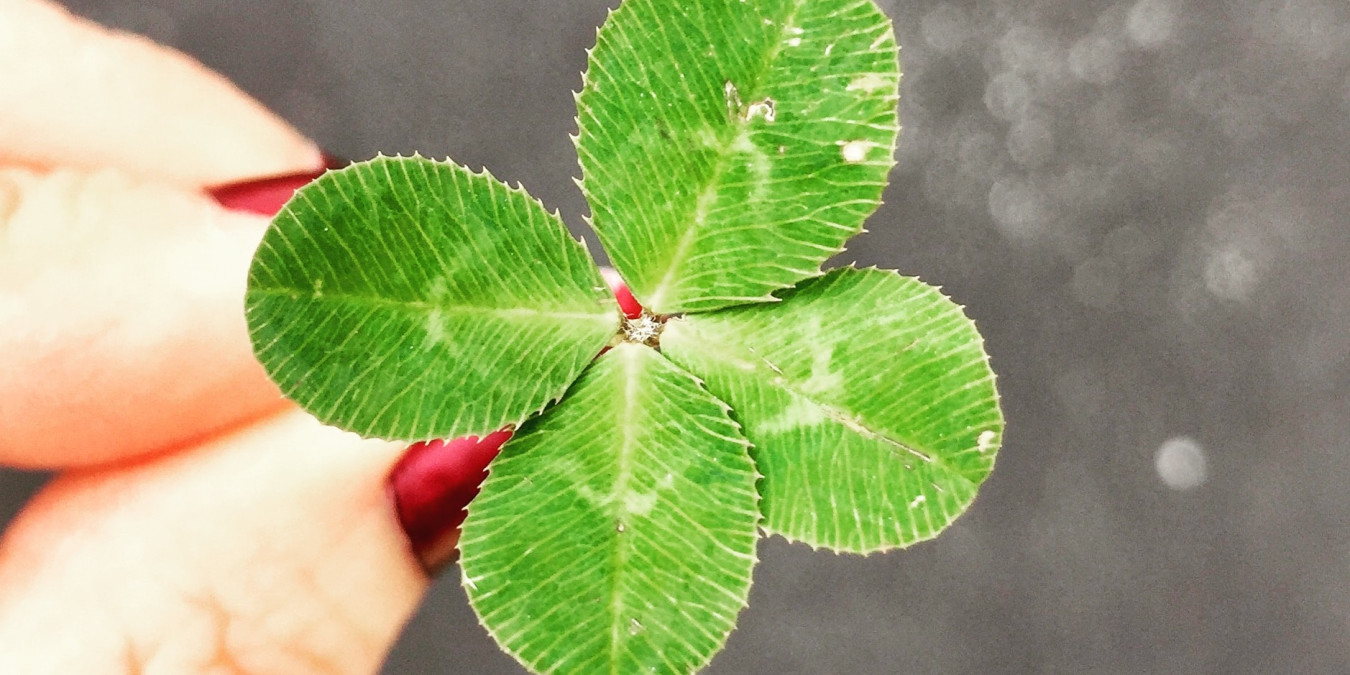 MILOSTIVÉ LÉTO 2023: Využijte příležitost vyřešit dluhy na daních či sociálním pojištění!