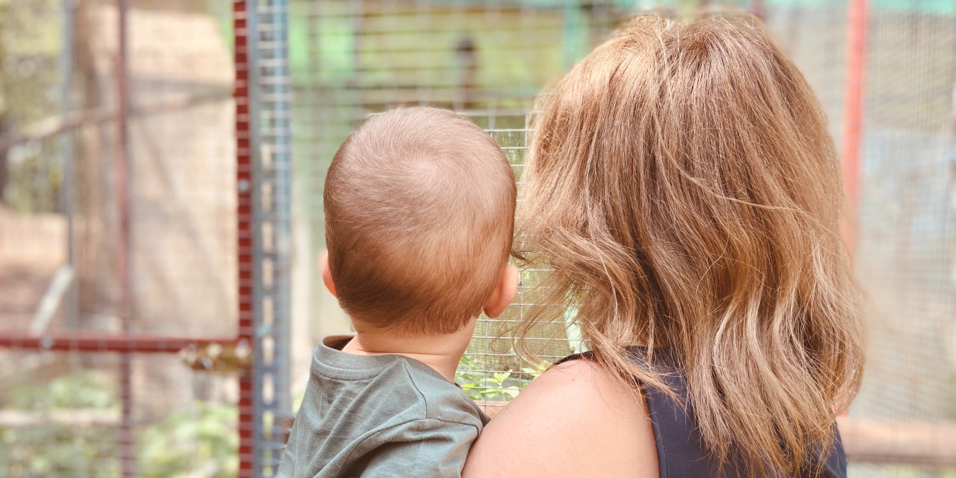 O dávkách se mluví s despektem, mnoho lidí se tak o ně stydí žádat