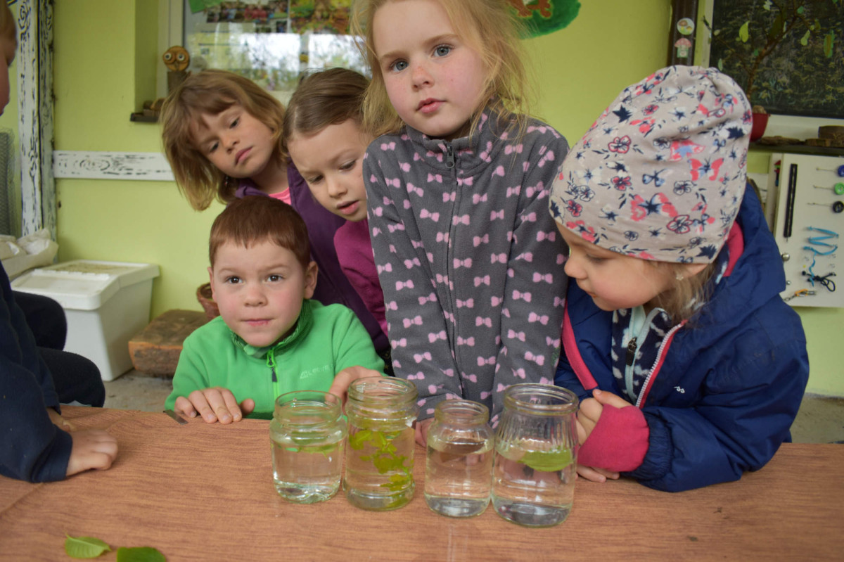 Školka v lese: Jak na globální témata v dětské skupině