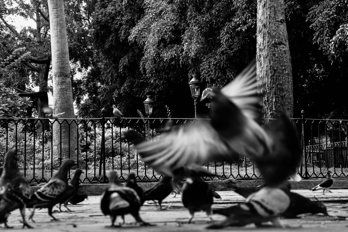 Nulová svoboda tisku na Kubě