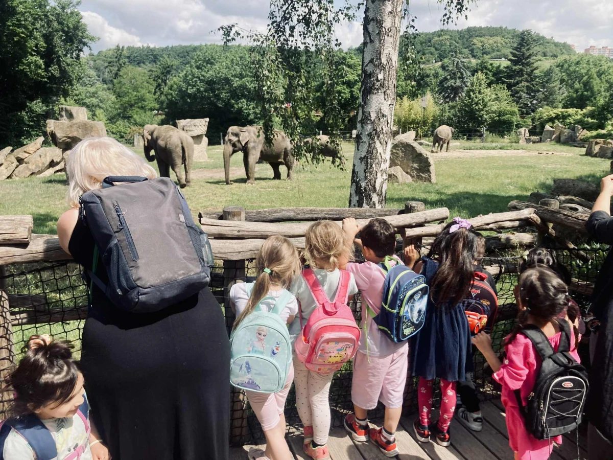 Dvanáct malých kroků ke školce. A jeden velký skok k lepší budoucnosti