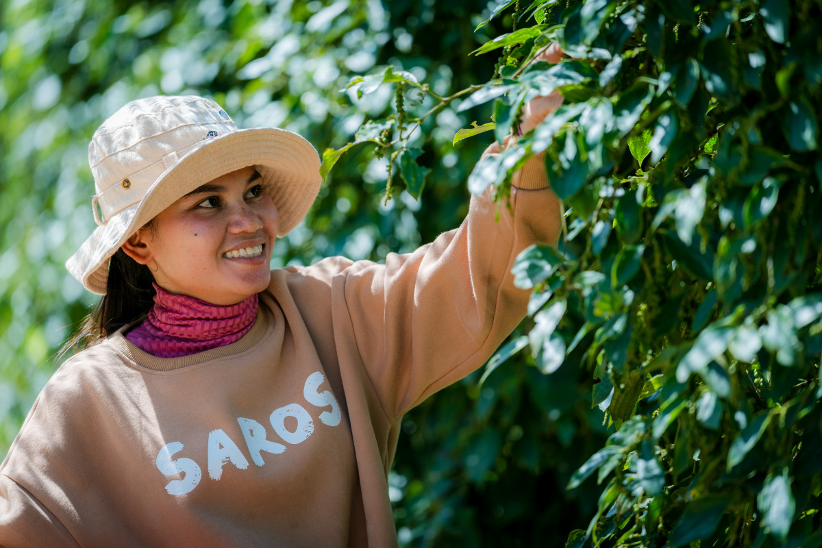 Proslulý kambodžský pepř a jeden velký sen: Nová technologie ulehčila práci na pepřové farmě