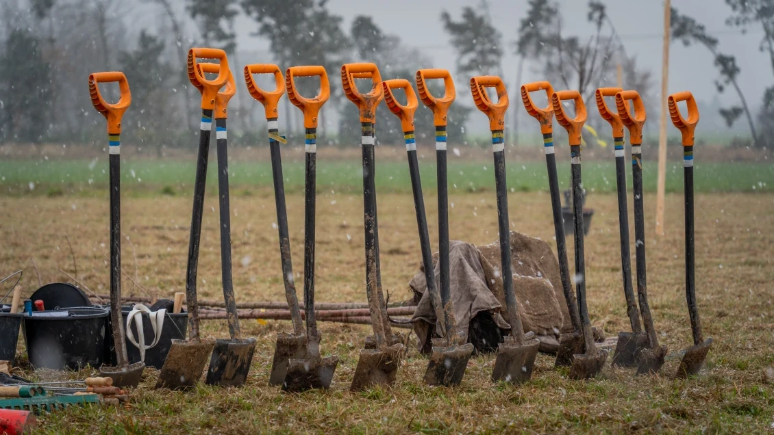 25 dobrých zpráv, které vznikly i díky vám