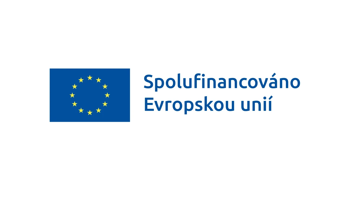V rozletu – podpora mladých lidí na cestě k samostatnosti
