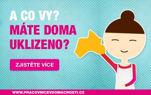 Víte, kdo Vám doma uklízí? Migrantky a placená práce v domácnosti