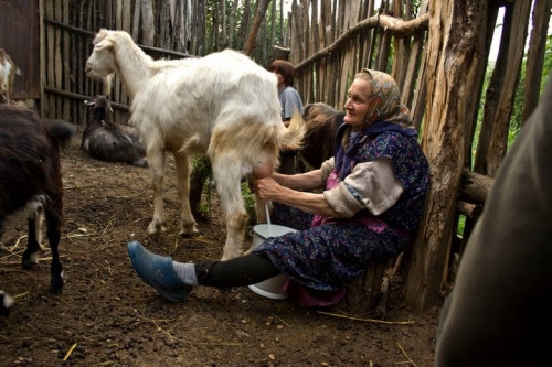 Druhý dech mizejícího světa?