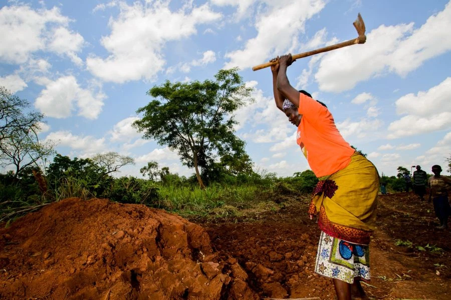 Výstava V BŘIŠE AFRIKY ukáže, proč je Uganda hladová 