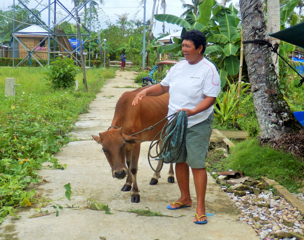 Člověk v tísni pomáhá nastartovat běžný život na Filipínách. Místním dává peníze na dobytek
