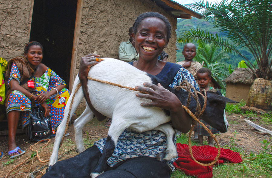 Nové dárky pod stromeček!