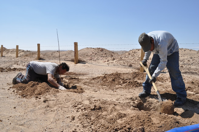 Člověk v tísni otevřel na jihu Mongolska Agrocentrum pro dvě stě farmářů, učí se pěstovat brambory i melouny