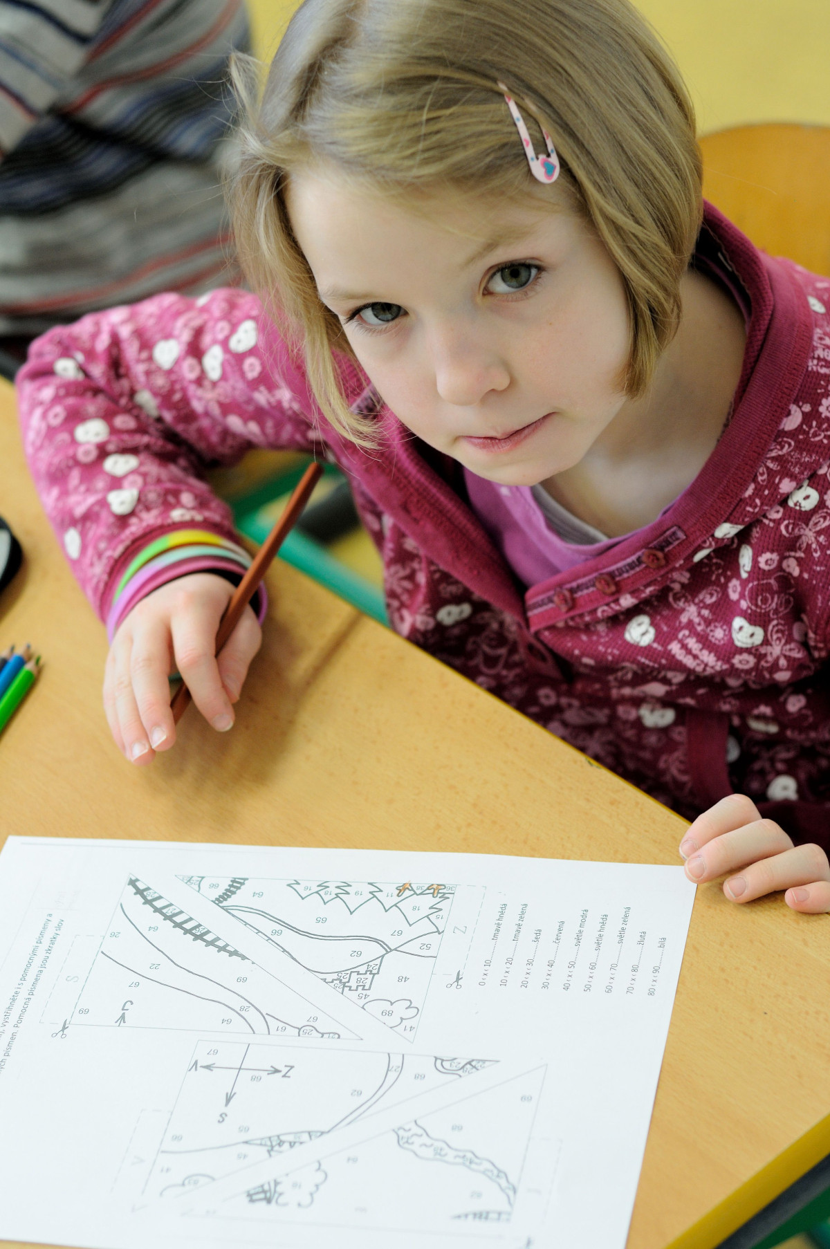 Asistentům pedagoga pomůžou tři desítky nových metodik