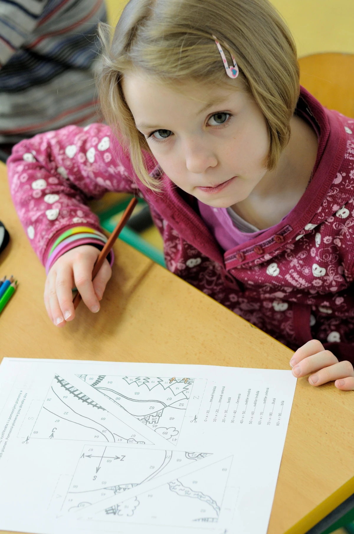 Asistentům pedagoga pomůžou tři desítky nových metodik