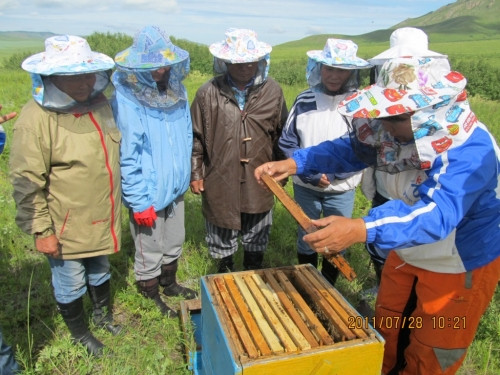 V Mongolsku vzděláváme včelaře i farmáře