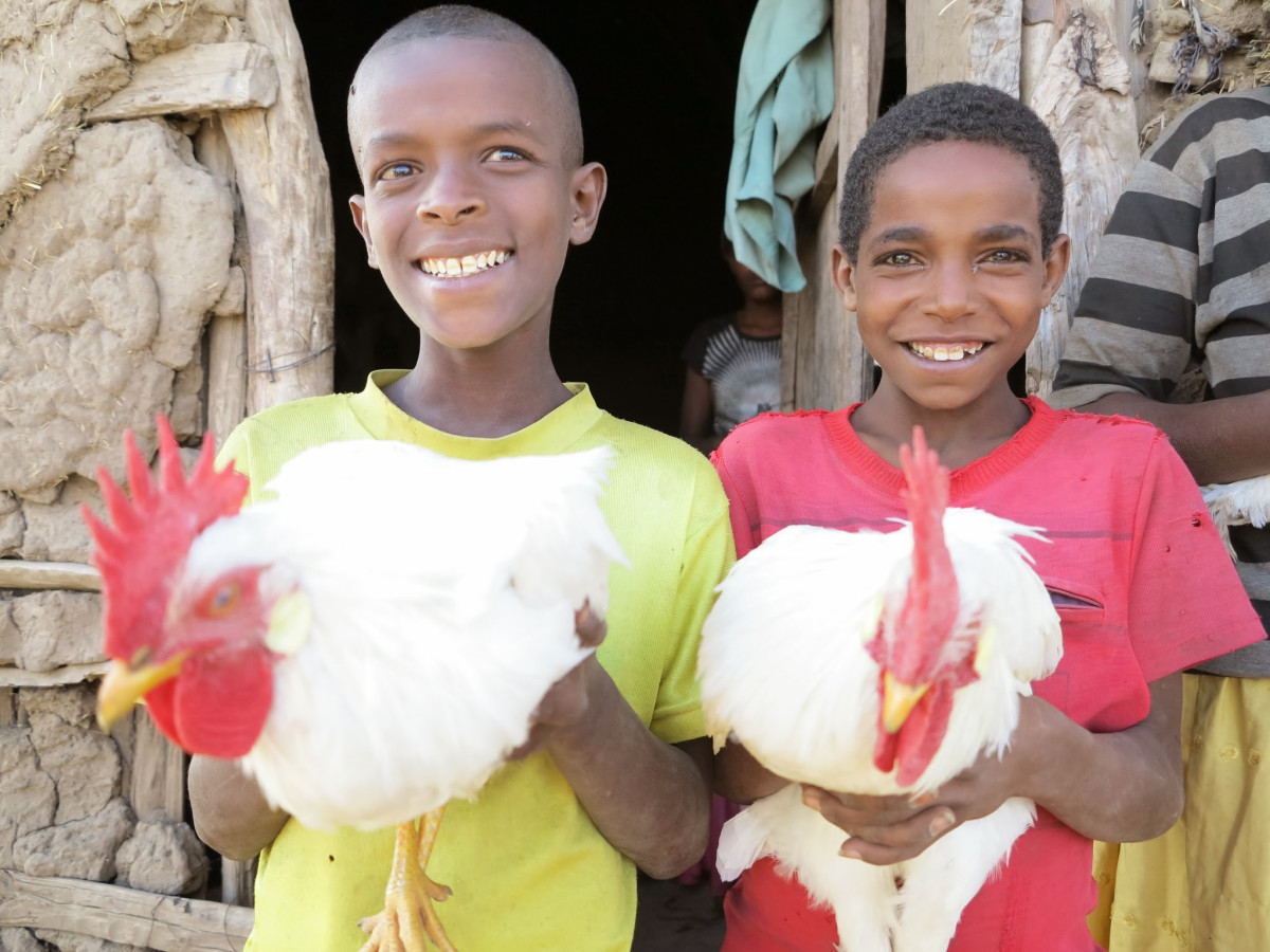 Lidé už nakoupili dárky za víc než 50 milionů. Nově budou pomáhat i dětem v Česku