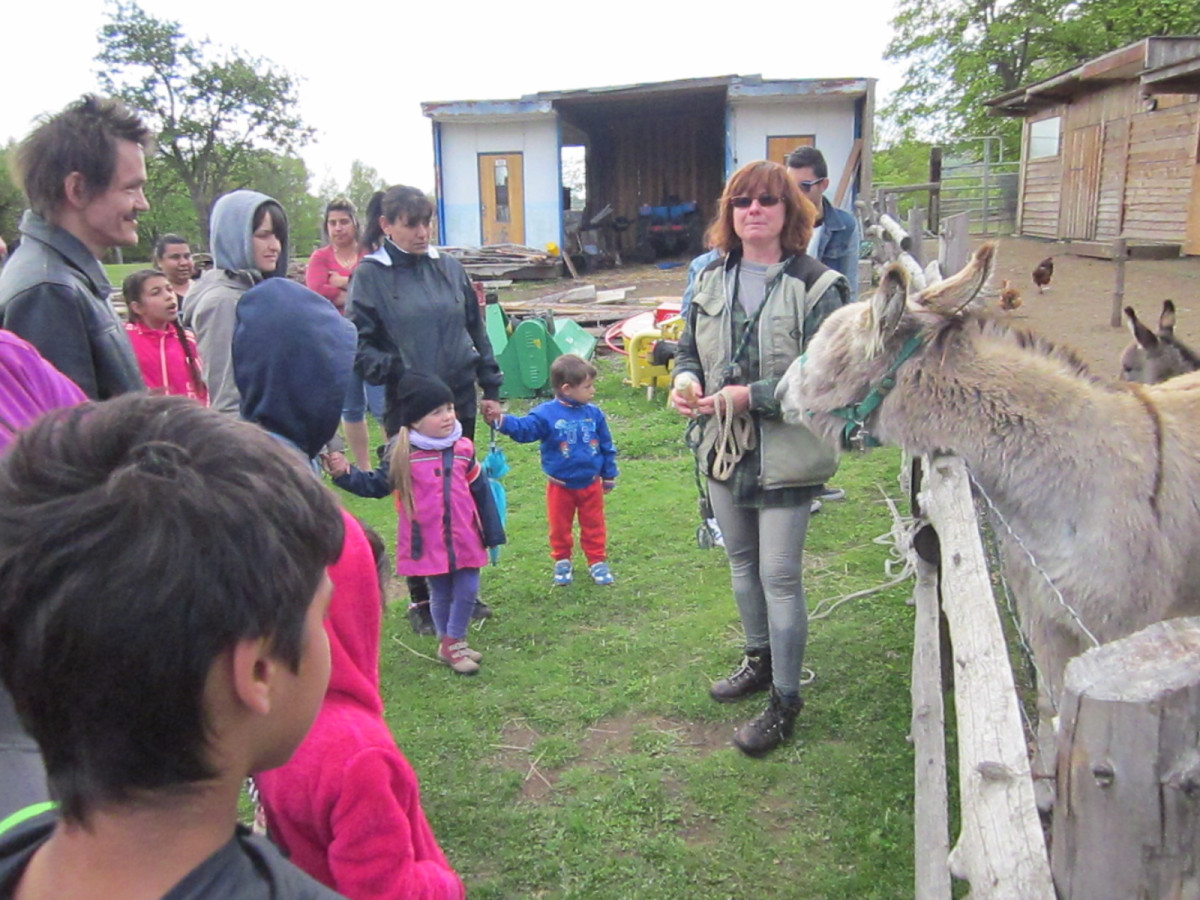 Výlet za zvířátky s klubem pro rodiče