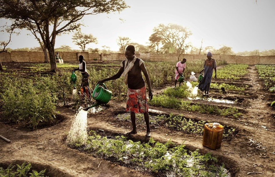 Multisektorovým přístupem Člověk v tísni snižuje podvýživu v Jižním Súdánu