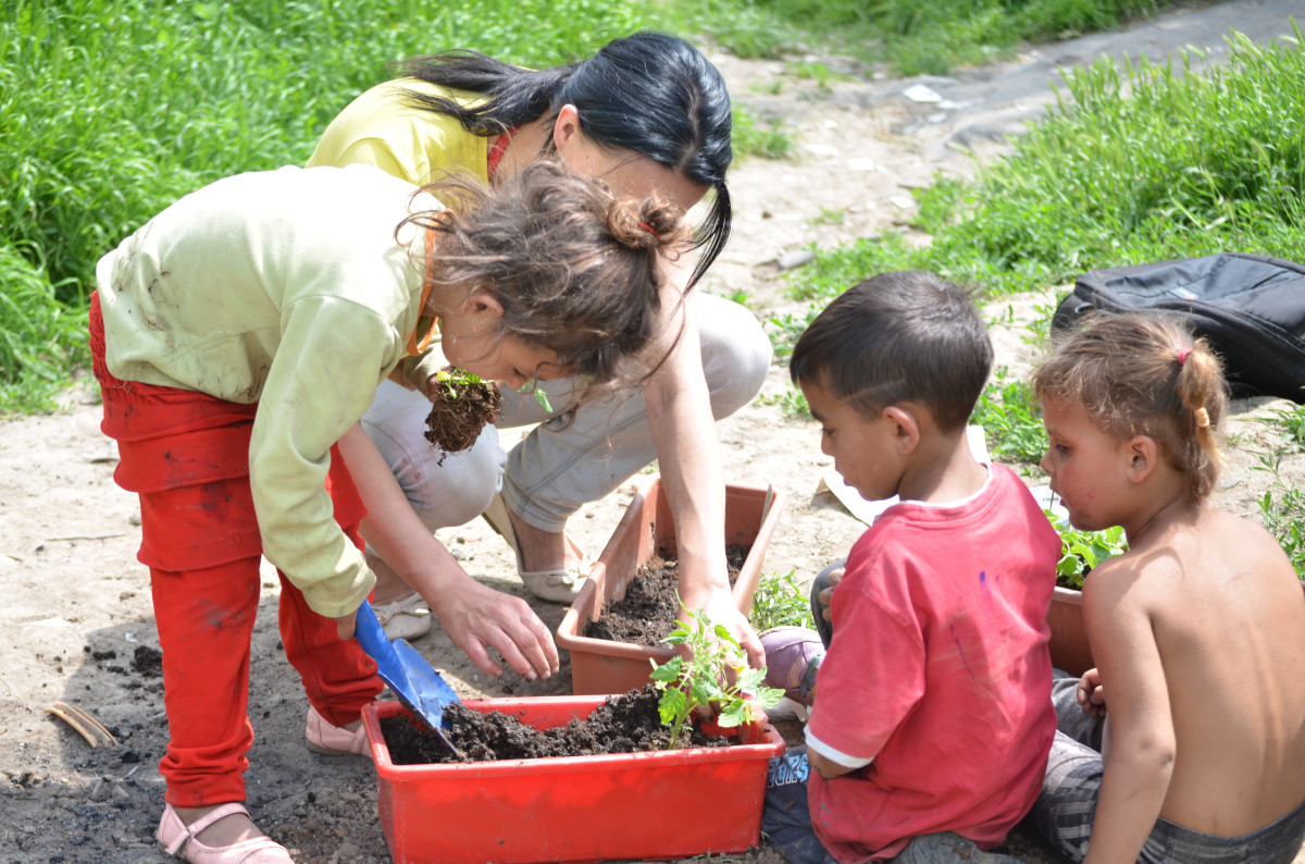 Pěstování zaujalo