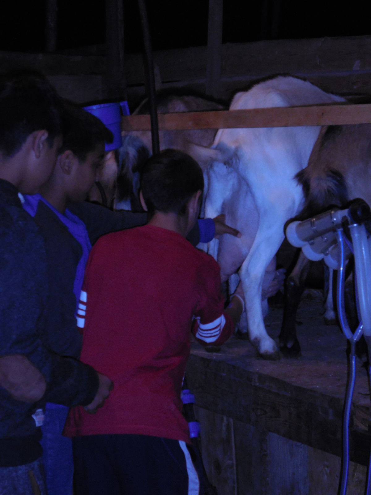 Výlet za létající kozou