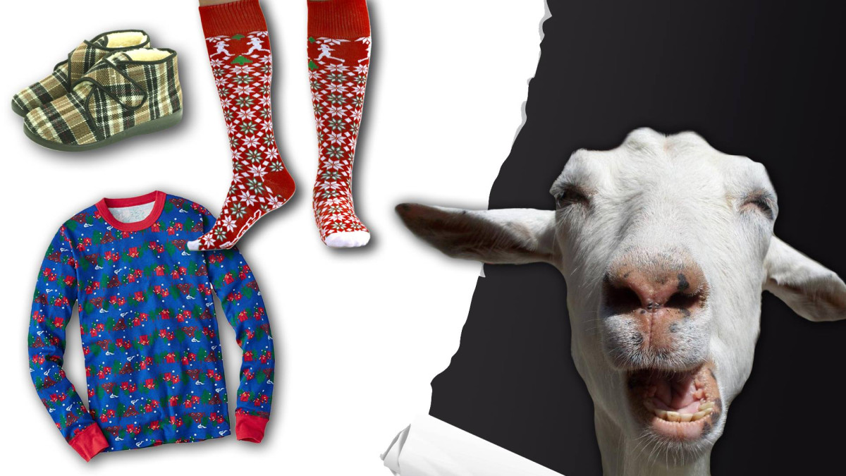 Nekupujte před vánocemi voloviny, vyzývá Člověk v tísni dárce. Díky nim rozdává slepice a školí farmáře