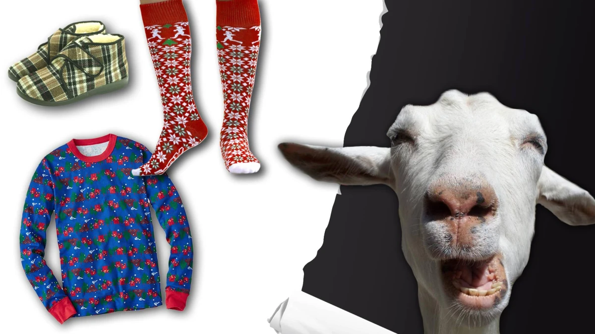Nekupujte před vánocemi voloviny, vyzývá Člověk v tísni dárce. Díky nim rozdává slepice a školí farmáře