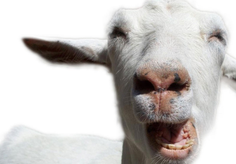 Stojím na zasněžený střeše a držím se jednou rukou...