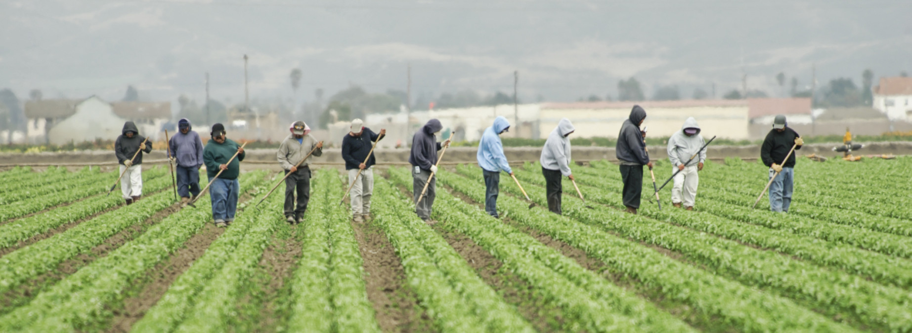 Nejistá práce přes agentury brzdí zapojení do společnosti