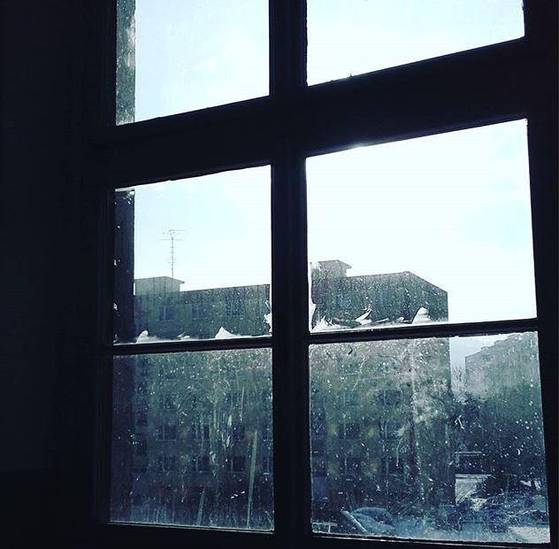 Vychytralí pěstouni