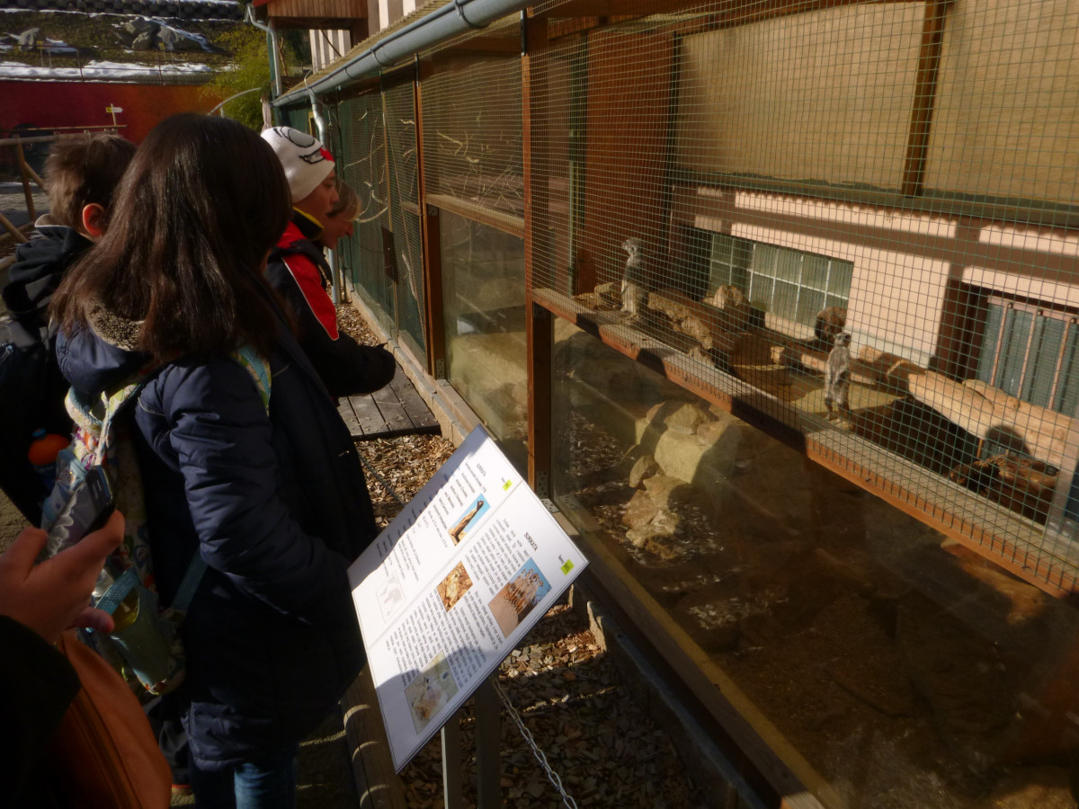 Navštívili jsme biopark teplického Gymnázia