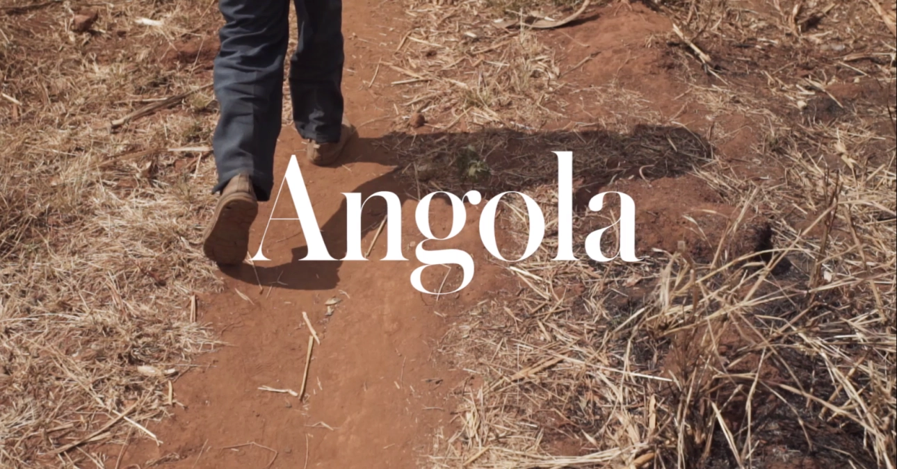 VIDEO 10 let v Angole