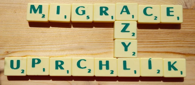 Víte, co přesně znamenají termíny uprchlík, migrant či cizinec?