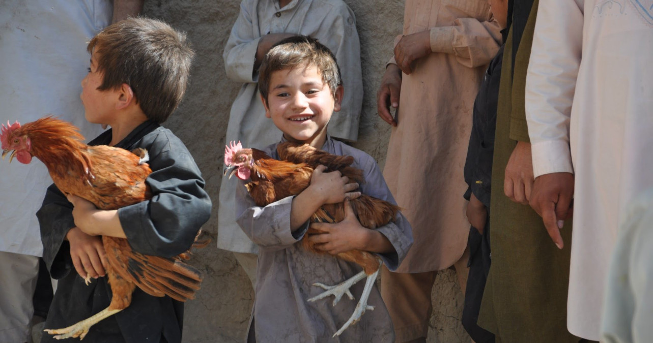 Dámská vložka nebo živé ryby pod stromeček? V e-shopu na dobro přibyly nové dárky