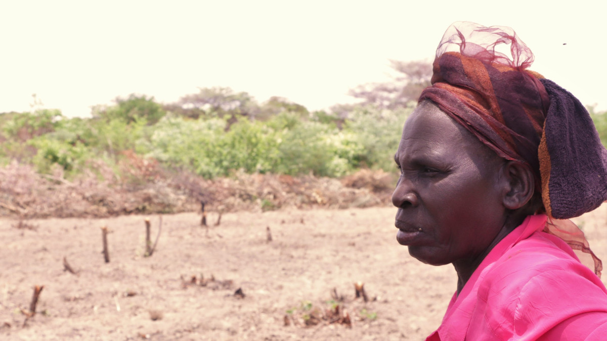 Zemědělci v Zambii se připravují na období dešťů