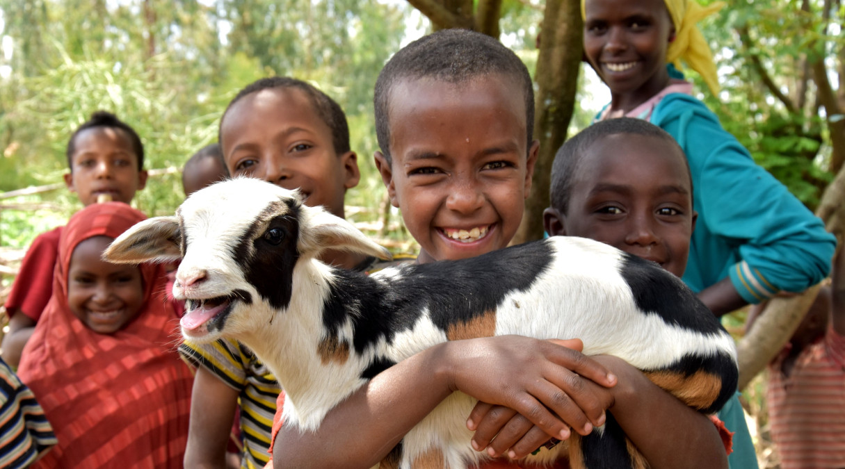 Skutečných dárků se prodalo za téměř 17 miliónů