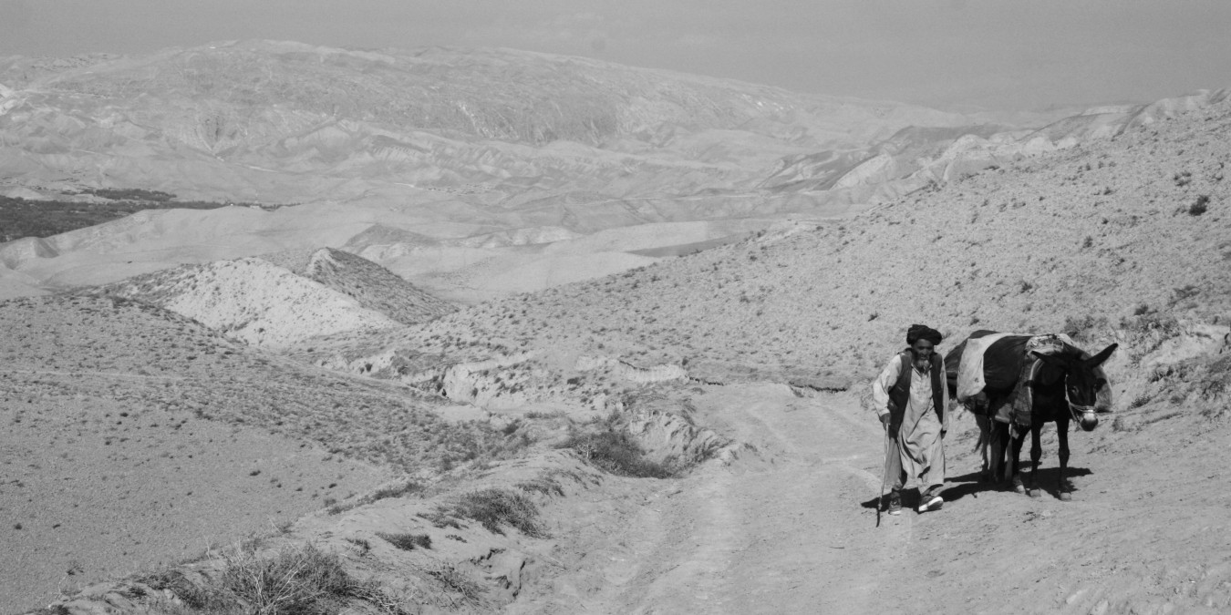 Zare 2015, vzpomínáme